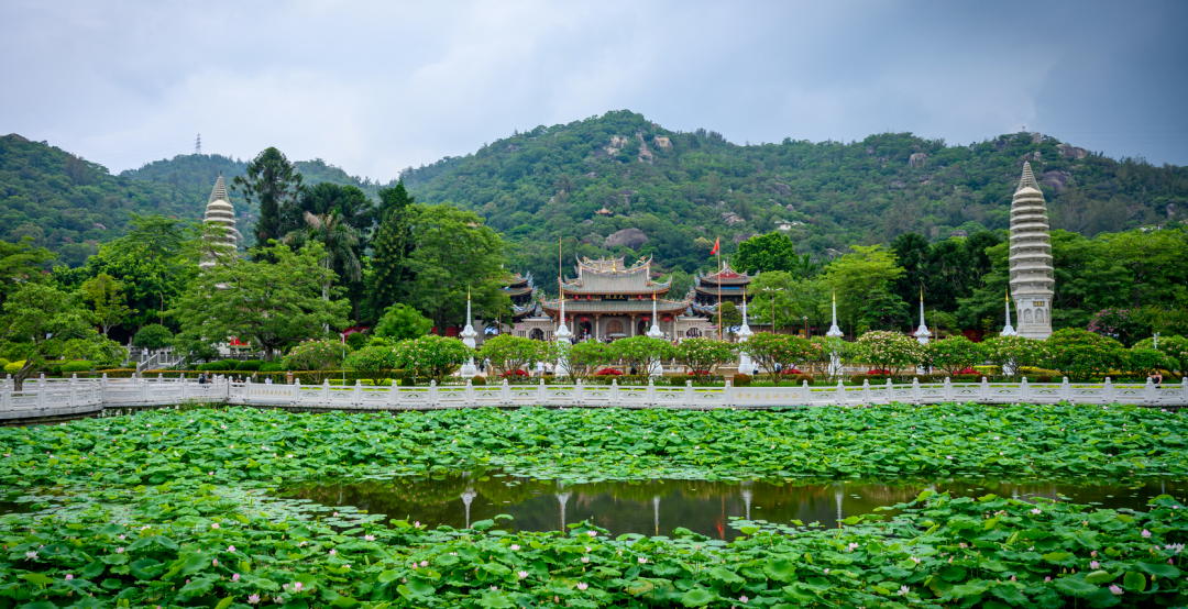 微信图片_2026-08-31_094116_111.png